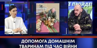ДОПОМОГА ДОМАШНІМ ТВАРИНАМ ПІД ЧАС ВІЙНИ