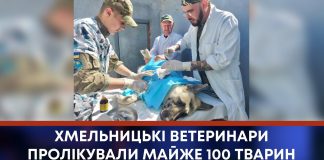 ХМЕЛЬНИЦЬКІ ВЕТЕРИНАРИ ПРОЛІКУВАЛИ МАЙЖЕ 100 ТВАРИН НА КИЇВЩИНІ