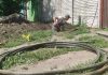 mykharkov.info – У Слобідському районі відновили газопостачання мешканцям приватного сектору