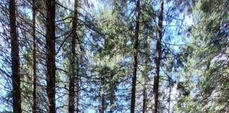 “Місто” Івано-Франківськ – На Говерлі травмувались дві жінки. ФОТО