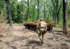 На Харківщині ЗСУ знищили велику кількість окупантів разом із технікою