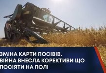 ЗМІНА КАРТИ ПОСІВІВ. ВІЙНА ВНЕСЛА КОРЕКТИВИ ЩО ПОСІЯТИ НА ПОЛІ