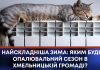 НАЙСКЛАДНІША ЗИМА: ЯКИМ БУДЕ ОПАЛЮВАЛЬНИЙ СЕЗОН В ХМЕЛЬНИЦЬКІЙ ГРОМАДІ?