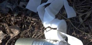 “Дніпро Оперативний” – У Апостолового чоловік підірвався на боєприпасі | Новини Дніпра