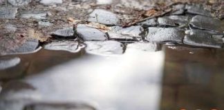 Чернівці Інформаційне агентство “АСС” – Хмарно та дощ: прогноз погоди у Чернівцях на 2 вересня