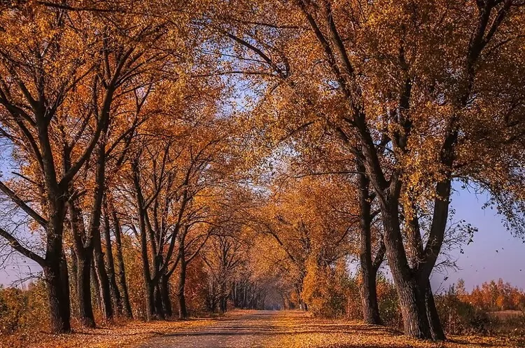 “Новини Полтавщини” – що не можна робити 3 листопада – Новини Полтавщини