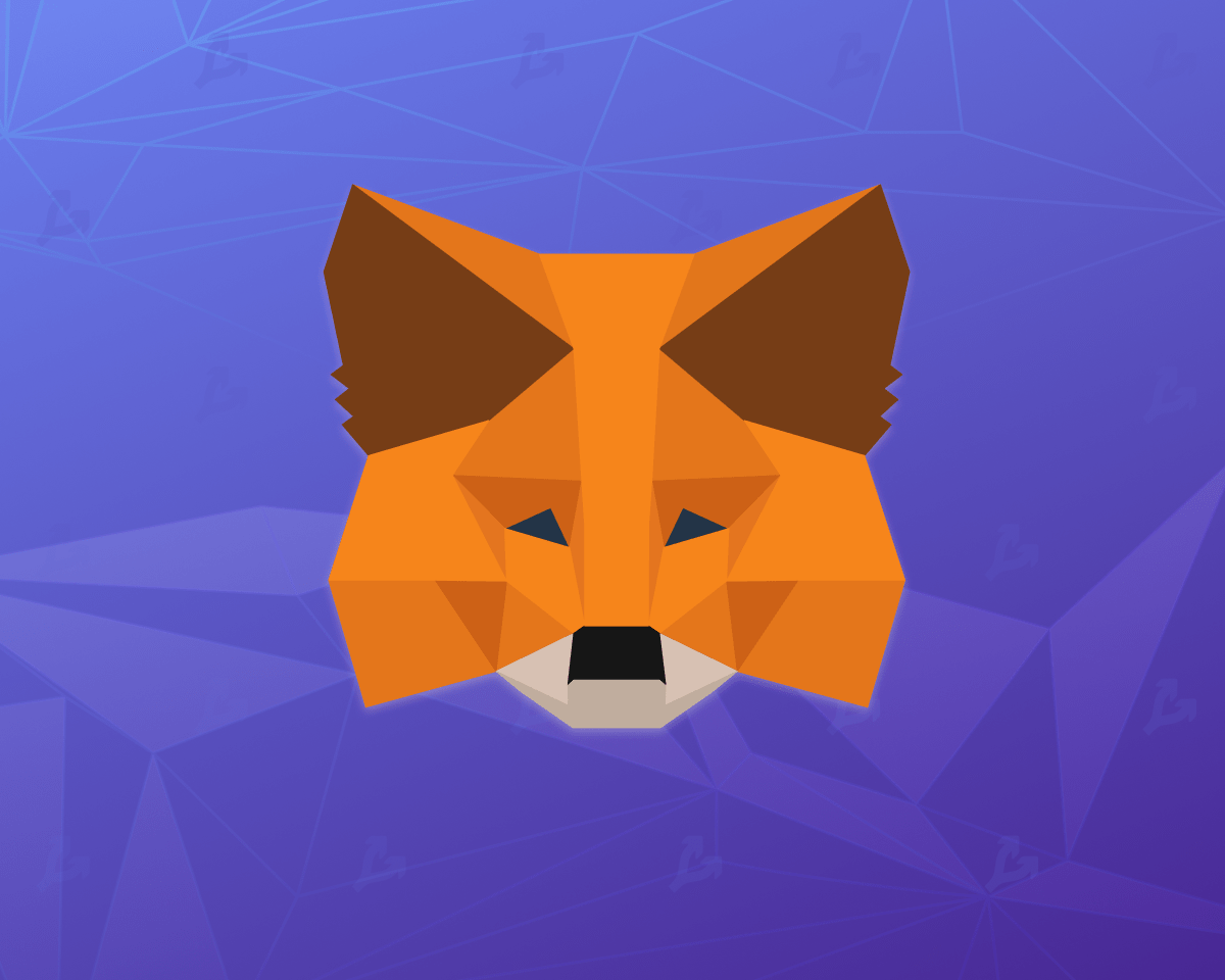 ruxus – Зберігання даних користувачів MetaMask обмежать тижнем