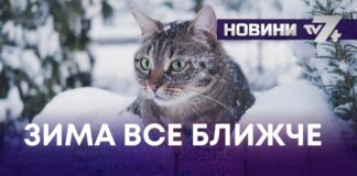 ЗИМА ВСЕ БЛИЖЧЕ