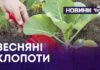 Весняні клопоти