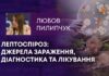 ЛЕПТОСПІРОЗ: ДЖЕРЕЛА ЗАРАЖЕННЯ, ДІАГНОСТИКА ТА ЛІКУВАННЯ