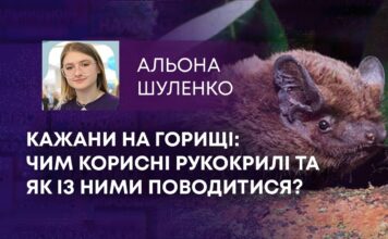 КАЖАНИ НА ГОРИЩІ: ЧИМ КОРИСНІ РУКОКРИЛІ ТА ЯК ІЗ НИМИ ПОВОДИТИСЯ?