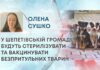 У ШЕПЕТІВСЬКІЙ ГРОМАДІ БУДУТЬ СТЕРИЛІЗУВАТИ ТА ВАКЦИНУВАТИ БЕЗПРИТУЛЬНИХ ТВАРИН