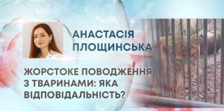 ЖОРСТОКЕ ПОВОДЖЕННЯ З ТВАРИНАМИ: ЯКА ВІДПОВІДАЛЬНІСТЬ?