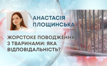 ЖОРСТОКЕ ПОВОДЖЕННЯ З ТВАРИНАМИ: ЯКА ВІДПОВІДАЛЬНІСТЬ?