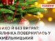 ТИХО, БЕЗ ЗАЙВИХ ВИТРАТ: У ХМЕЛЬНИЦЬКИЙ ПОВЕРНУЛАСЬ ЯЛИНКА!