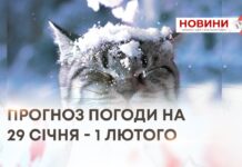 ПРОГНОЗ ПОГОДИ НА 29 СІЧНЯ – 1 ЛЮТОГО