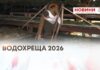 ВОДОХРЕЩА 2026