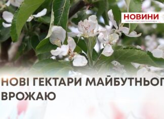 НОВІ ГЕКТАРИ МАЙБУТНЬОГО ВРОЖАЮ