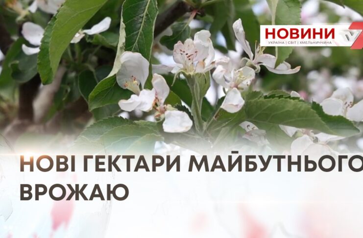 НОВІ ГЕКТАРИ МАЙБУТНЬОГО ВРОЖАЮ