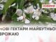 НОВІ ГЕКТАРИ МАЙБУТНЬОГО ВРОЖАЮ