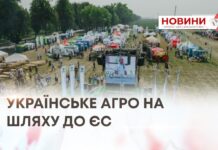 УКРАЇНСЬКЕ АГРО НА ШЛЯХУ ДО ЄС