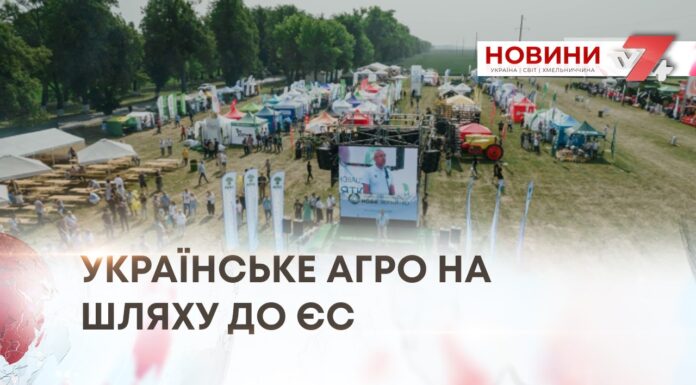 УКРАЇНСЬКЕ АГРО НА ШЛЯХУ ДО ЄС