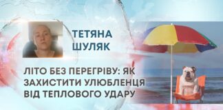 ЛІТО БЕЗ ПЕРЕГРІВУ: ЯК ЗАХИСТИТИ УЛЮБЛЕНЦЯ ВІД ТЕПЛОВОГО УДАРУ