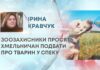 ЗООЗАХИСНИКИ ПРОСЯТЬ ХМЕЛЬНИЧАН ПОДБАТИ ПРО ТВАРИН У СПЕКУ