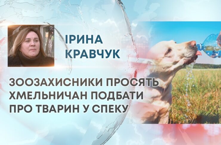 ЗООЗАХИСНИКИ ПРОСЯТЬ ХМЕЛЬНИЧАН ПОДБАТИ ПРО ТВАРИН У СПЕКУ