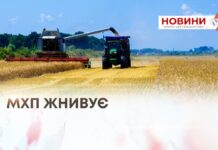 МХП ЖНИВУЄ