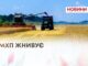 МХП ЖНИВУЄ