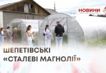 ШЕПЕТІВСЬКІ «СТАЛЕВІ МАГНОЛІЇ»