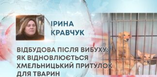 ВІДБУДОВА ПІСЛЯ ВИБУХУ: ЯК ВІДНОВЛЮЄТЬСЯ ХМЕЛЬНИЦЬКИЙ ПРИТУЛОК ДЛЯ ТВАРИН