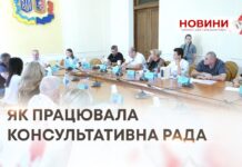 ЯК ПРАЦЮВАЛА КОНСУЛЬТАТИВНА РАДА