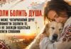 ЧИ МОЖЕ ЧОТИРИЛАПИЙ ДРУГ ДОПОМОГТИ ЗЦІЛИТИ ТЕ, ЩО НЕ ЗАВЖДИ ВДАЄТЬСЯ ЗЦІЛИТИ СЛОВАМИ