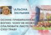 ОСІННЄ ПРИБИРАННЯ БЕЗ ВОГНЮ: ЧОМУ НЕ МОЖНА СПАЛЮВАТИ ЛИСТЯ ТА СУХУ ТРАВУ