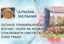 ОСІННЄ ПРИБИРАННЯ БЕЗ ВОГНЮ: ЧОМУ НЕ МОЖНА СПАЛЮВАТИ ЛИСТЯ ТА СУХУ ТРАВУ