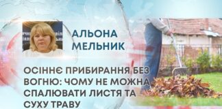 ОСІННЄ ПРИБИРАННЯ БЕЗ ВОГНЮ: ЧОМУ НЕ МОЖНА СПАЛЮВАТИ ЛИСТЯ ТА СУХУ ТРАВУ
