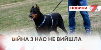 «ВІЙНА З НАС НЕ ВИЙШЛА»: ЯК КАНІСТЕРАПІЯ ДОПОМАГАЄ ВЕТЕРАНАМ ПОВЕРТАТИСЯ ДО ЦИВІЛЬНОГО ЖИТТЯ