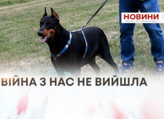 «ВІЙНА З НАС НЕ ВИЙШЛА»: ЯК КАНІСТЕРАПІЯ ДОПОМАГАЄ ВЕТЕРАНАМ ПОВЕРТАТИСЯ ДО ЦИВІЛЬНОГО ЖИТТЯ