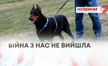 «ВІЙНА З НАС НЕ ВИЙШЛА»: ЯК КАНІСТЕРАПІЯ ДОПОМАГАЄ ВЕТЕРАНАМ ПОВЕРТАТИСЯ ДО ЦИВІЛЬНОГО ЖИТТЯ
