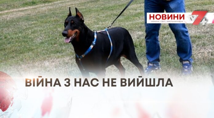 «ВІЙНА З НАС НЕ ВИЙШЛА»: ЯК КАНІСТЕРАПІЯ ДОПОМАГАЄ ВЕТЕРАНАМ ПОВЕРТАТИСЯ ДО ЦИВІЛЬНОГО ЖИТТЯ