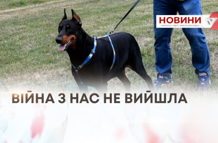 «ВІЙНА З НАС НЕ ВИЙШЛА»: ЯК КАНІСТЕРАПІЯ ДОПОМАГАЄ ВЕТЕРАНАМ ПОВЕРТАТИСЯ ДО ЦИВІЛЬНОГО ЖИТТЯ